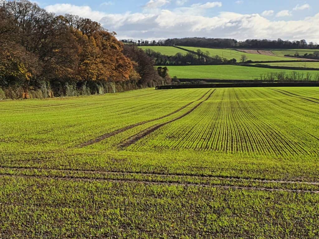 Dorset’s Local Plan - development at Pimperne