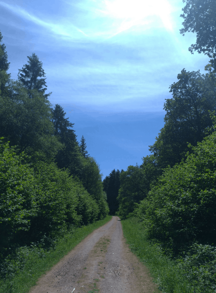 Washer's pit via Tarrant Gunville & Chettle