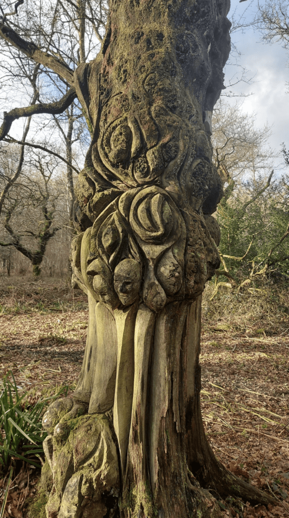 Okeford Hill Circular Walk