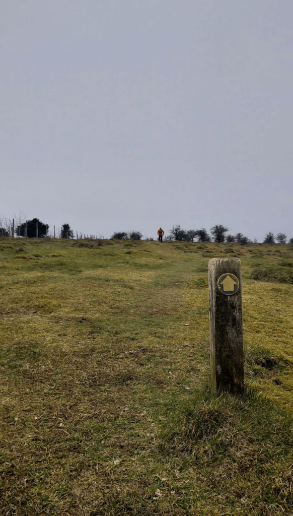 Win Green to Tollard Royal Circular Walk