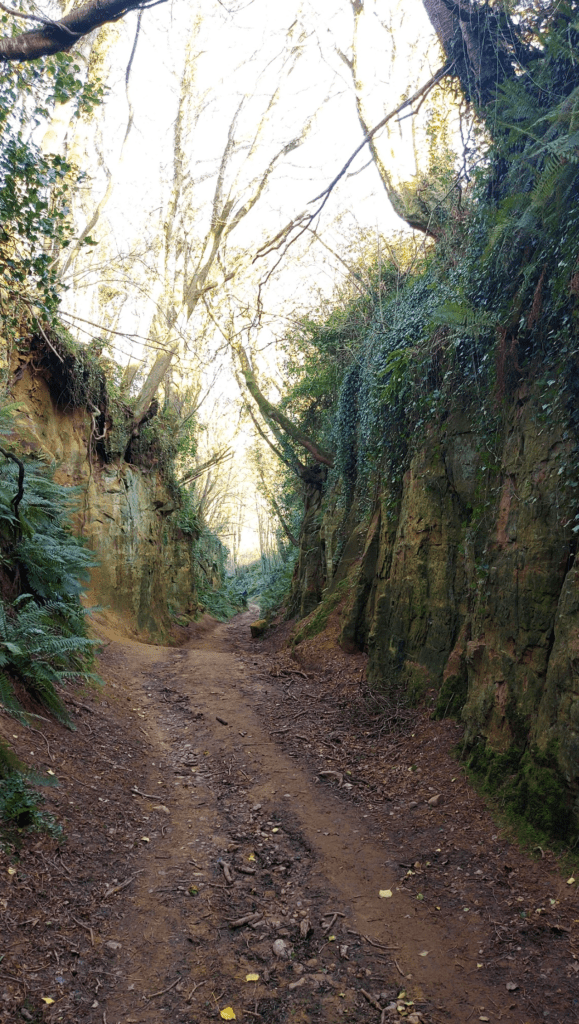 Hell Lane Dorset walk